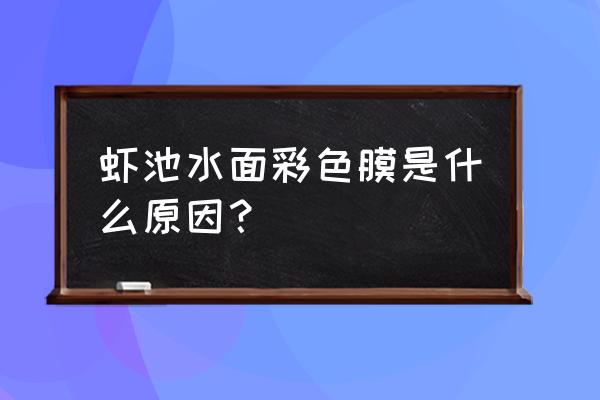 虾池跳出水面的鱼是什么鱼 虾池水面彩色膜是什么原因？