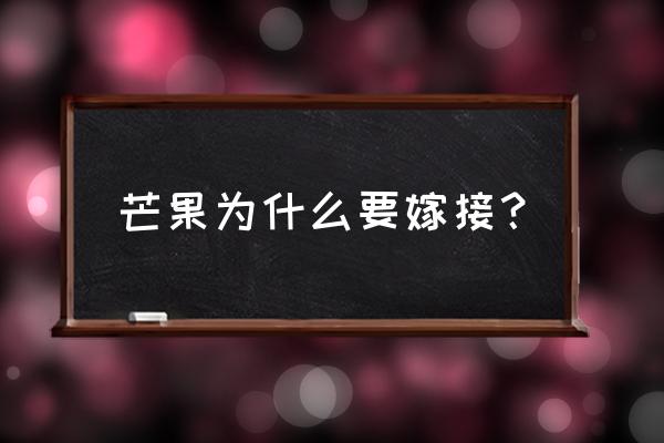 芒果嫁接什么时间接最好 芒果为什么要嫁接？