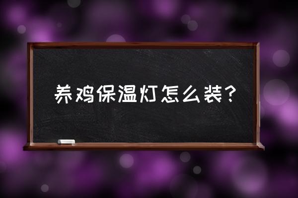 儿童手工废旧物做鸡笼 养鸡保温灯怎么装？