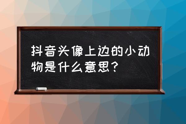 呆萌可爱头像动物 抖音头像上边的小动物是什么意思？