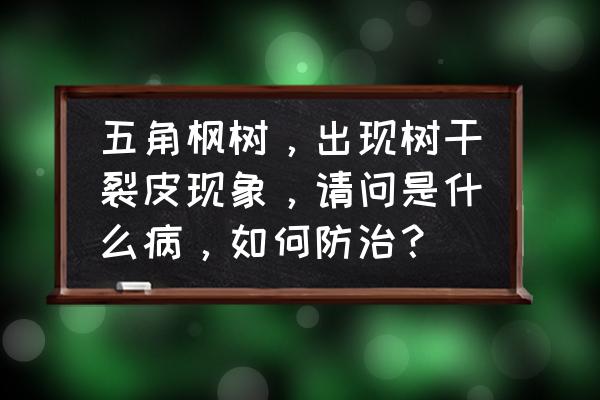 明日之后龟裂韧皮在哪买 五角枫树，出现树干裂皮现象，请问是什么病，如何防治？