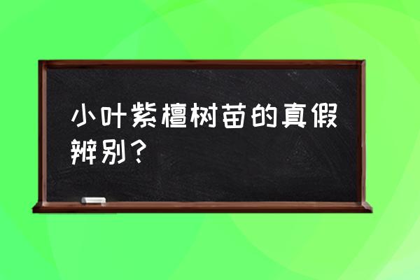 小叶紫檀鉴定最简单的方法 小叶紫檀树苗的真假辨别？