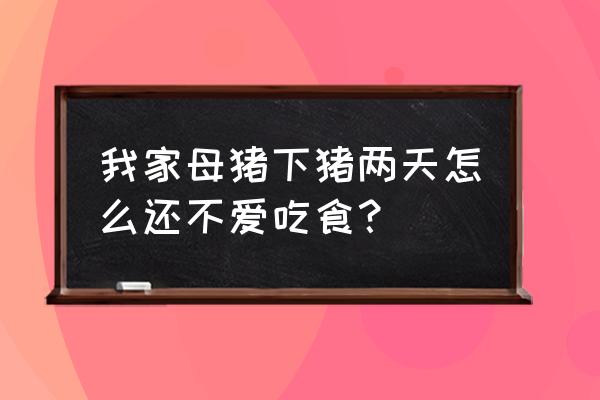 母猪产后吃食不好有什么办法 我家母猪下猪两天怎么还不爱吃食？