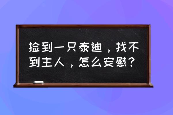 捡了一只狗怎么寻找它主人 捡到一只泰迪，找不到主人，怎么安慰？