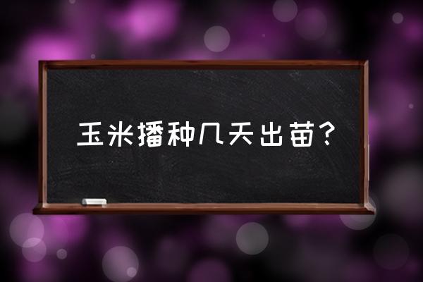 玉米种植20天了还没出苗怎么办 玉米播种几天出苗？