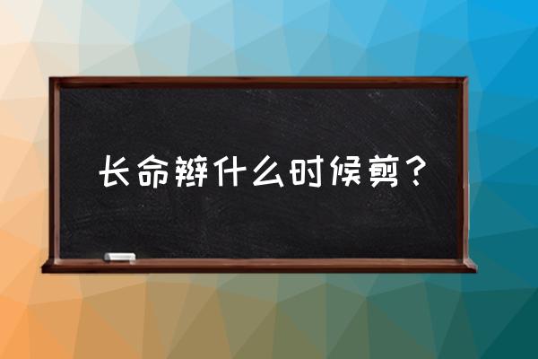 宝宝剃胎毛日子有讲究吗 长命辫什么时候剪？