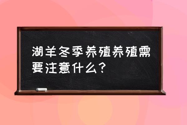 大棚养羊要注意哪些问题 湖羊冬季养殖养殖需要注意什么？