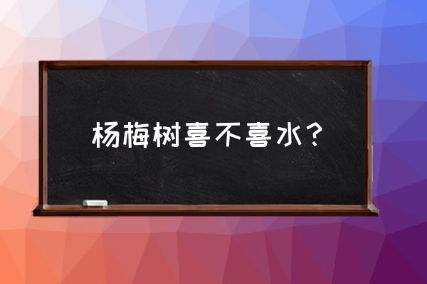 杨梅浇水的正确方法 杨梅树喜不喜水？