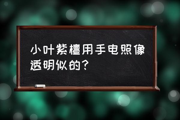 密度仪透光系数表 小叶紫檀用手电照像透明似的？