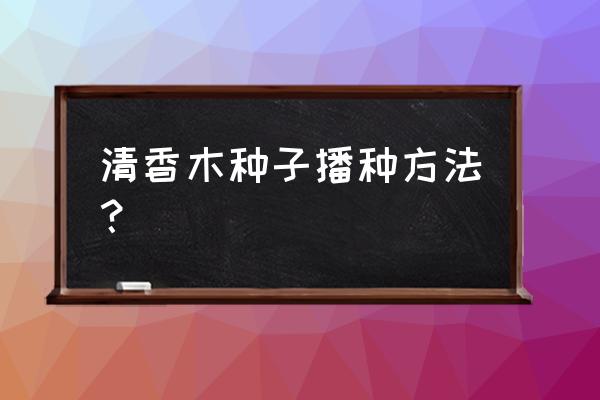 清香木种子种植方法 清香木种子播种方法？