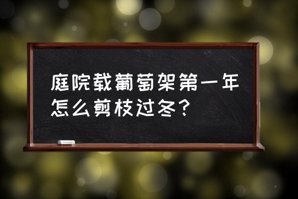 葡萄冬季修剪时间和技巧 庭院载葡萄架第一年怎么剪枝过冬？