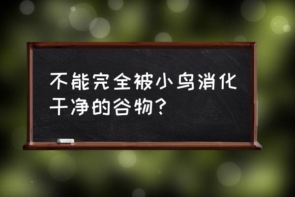 怎样防止鸟吃刚出的玉米苗 不能完全被小鸟消化干净的谷物？