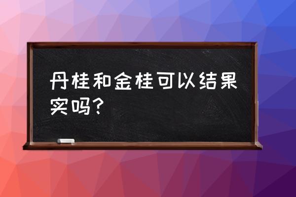 贵人果冬季移栽可以吗 丹桂和金桂可以结果实吗？