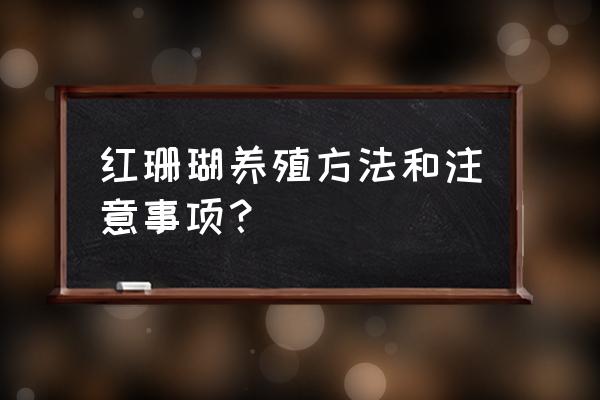 红珊瑚怎么保养为啥会泛白 红珊瑚养殖方法和注意事项？