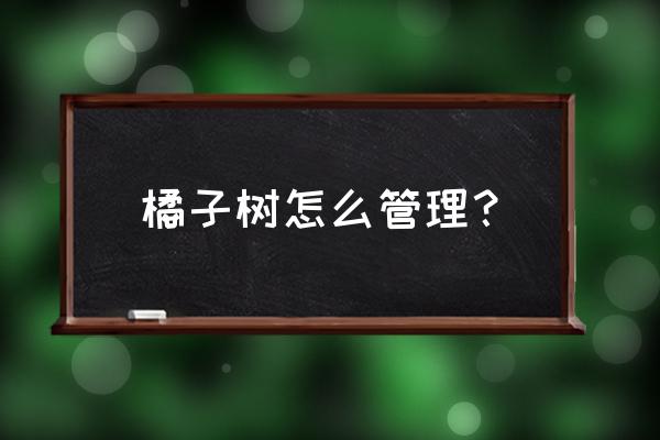 如何种植橘子树需要几个步骤 橘子树怎么管理？