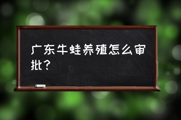 广东人怎么做牛蛙 广东牛蛙养殖怎么审批？