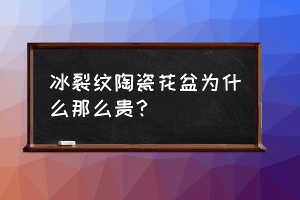 龙泉青瓷价格为啥这么便宜 冰裂纹陶瓷花盆为什么那么贵？