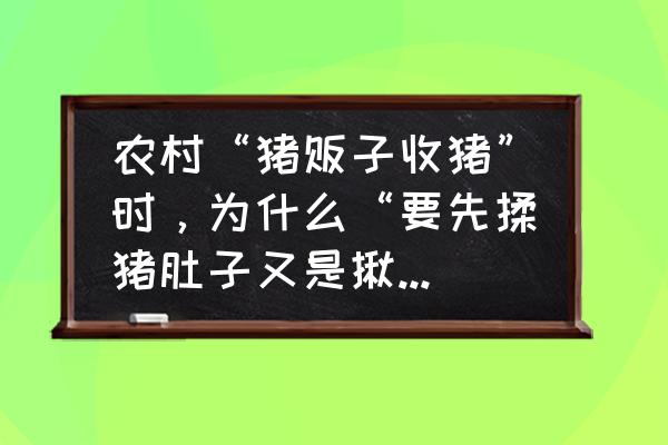 科学养猪的三个秘诀 农村“猪贩子收猪”时，为什么“要先揉猪肚子又是揪尾巴”的？