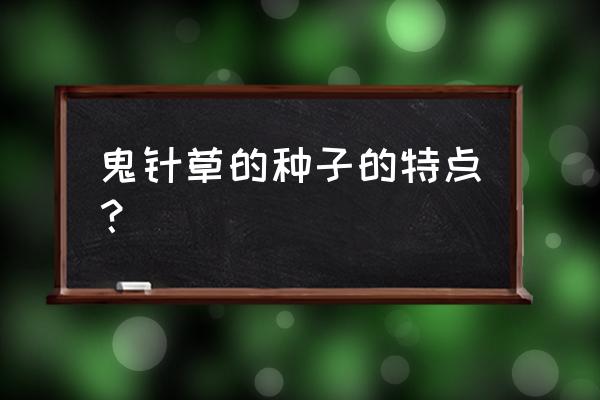 鬼针草种子是依靠什么传播的 鬼针草的种子的特点？