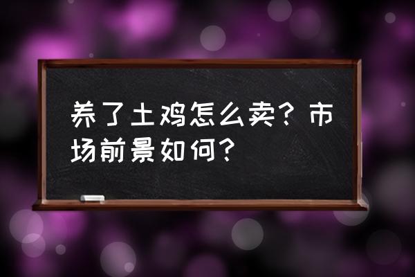 在农场养鸡怎么养 养了土鸡怎么卖？市场前景如何？