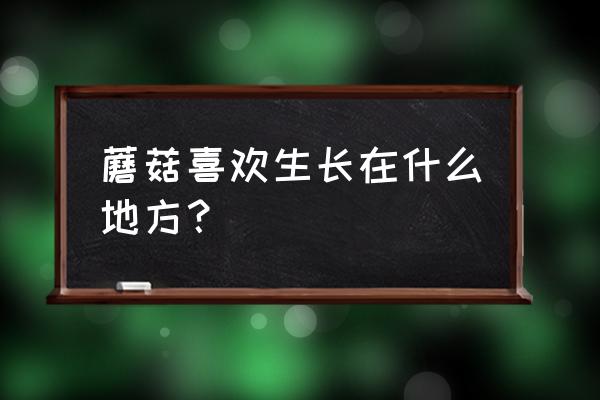 蘑菇是不是喜欢潮湿不喜欢阳光晒 蘑菇喜欢生长在什么地方？