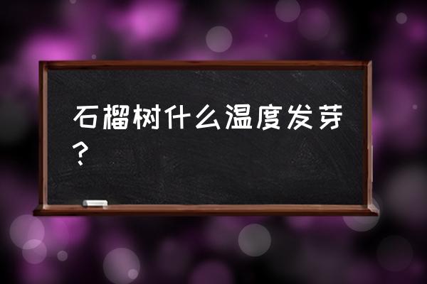 石榴籽发芽的正确方法 石榴树什么温度发芽？