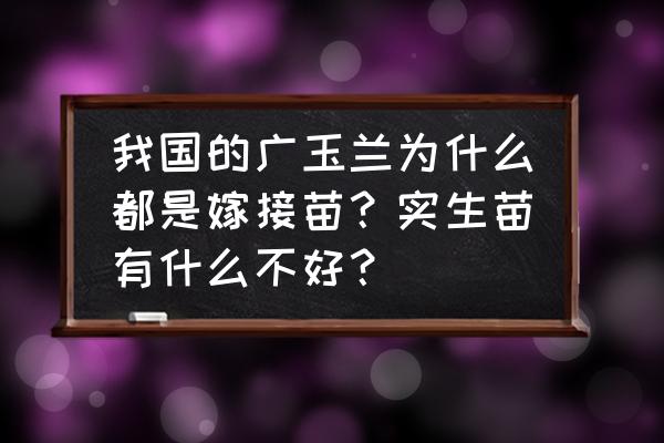 广玉兰树种子的种植方法 我国的广玉兰为什么都是嫁接苗？实生苗有什么不好？