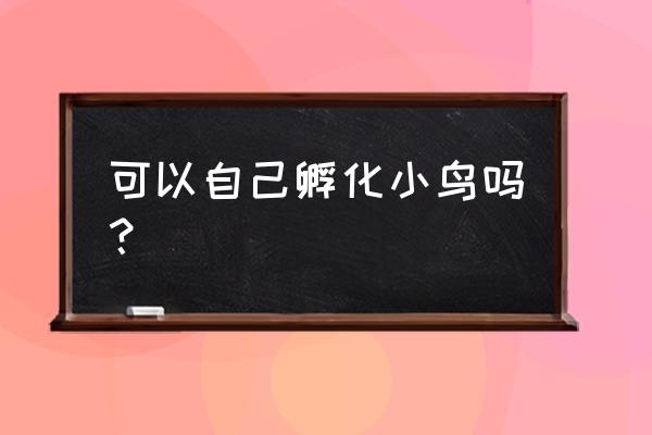 自制自动孵化器的教程 可以自己孵化小鸟吗？