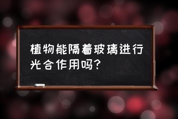 玻璃的历史渊源简单概括 植物能隔着玻璃进行光合作用吗？