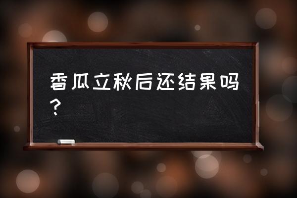 香瓜生长过程图大全 香瓜立秋后还结果吗？