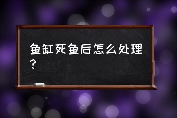 鱼缸养的鱼死了怎么处理 鱼缸死鱼后怎么处理？