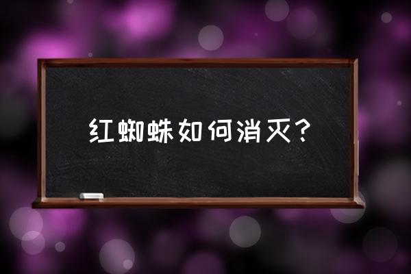 红蜘蛛怎么消灭小妙招 红蜘蛛如何消灭？