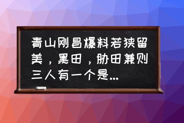 若狭留美暴打安室透 青山刚昌爆料若狭留美，黑田，胁田兼则三人有一个是黑衣组织老二朗姆，你认为是谁？