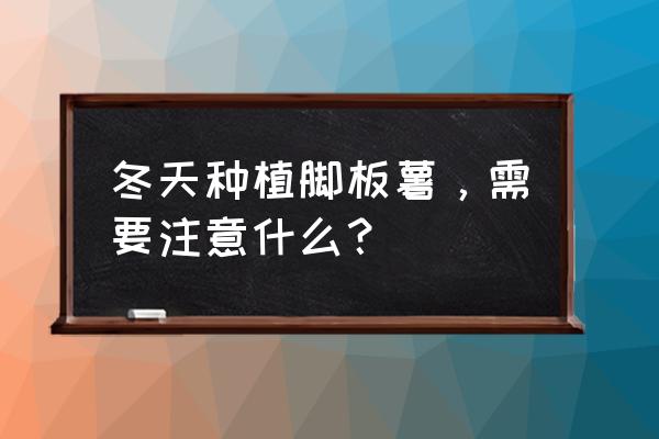 中国哪个地方最适合种脚板薯 冬天种植脚板薯，需要注意什么？