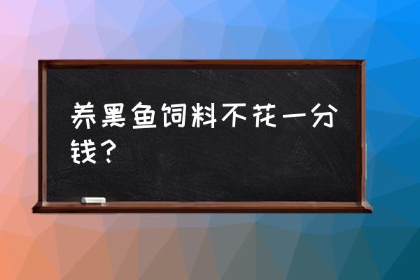 创造与魔法小黑鱼饲料怎么做 养黑鱼饲料不花一分钱？