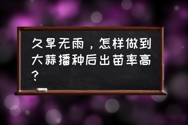 什么时间种大蒜是最佳时间 久旱无雨，怎样做到大蒜播种后出苗率高？