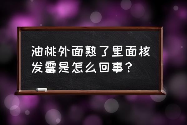 桃核手串长虫子怎么处理 油桃外面熟了里面核发霉是怎么回事？