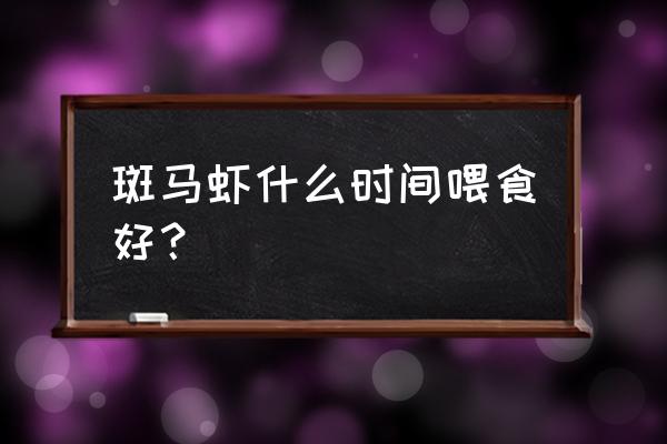 日本对虾的养殖技巧 斑马虾什么时间喂食好？