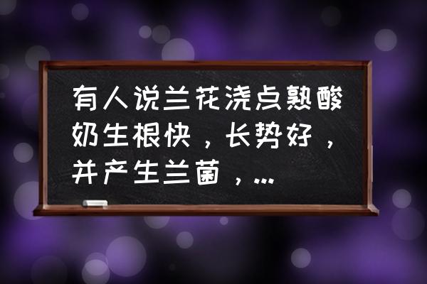 小清新盆栽酸奶 有人说兰花浇点熟酸奶生根快，长势好，并产生兰菌，难道效果真这么好？是不是真的？