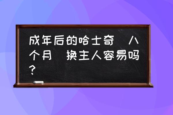 哈士奇一个多月死了什么原因 成年后的哈士奇（八个月）换主人容易吗？