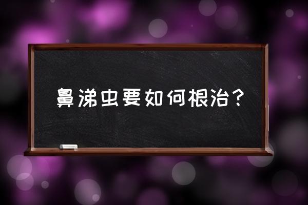 菜园鼻涕虫怎么完全消灭 鼻涕虫要如何根治？