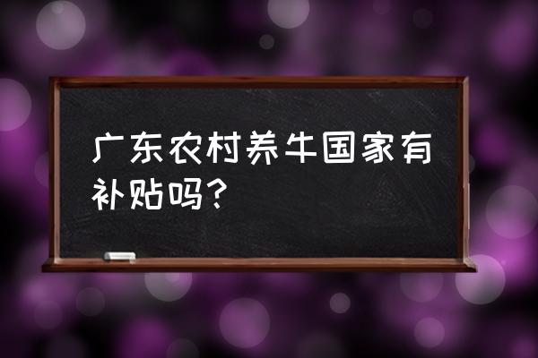 多多养牛官方客服联系方式 广东农村养牛国家有补贴吗？