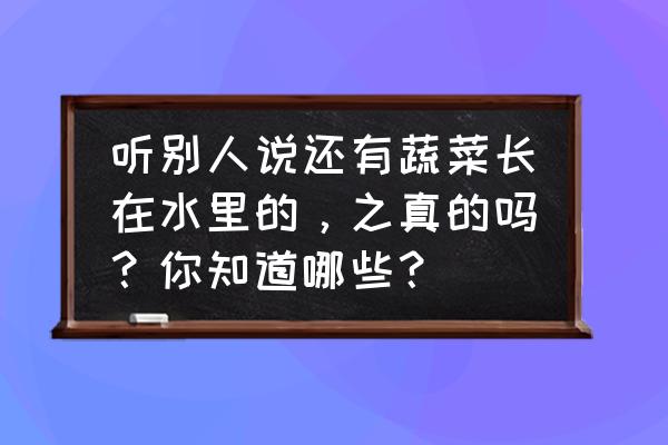 适合家庭水培的蔬菜有哪些 听别人说还有蔬菜长在水里的，之真的吗？你知道哪些？