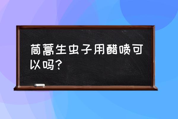 茼蒿病害图片及防治 茼蒿生虫子用醋喷可以吗？