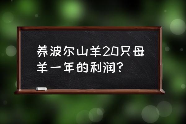 波尔山羊适合长期养殖吗 养波尔山羊20只母羊一年的利润？