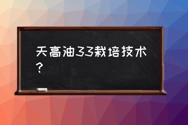 玉米小苗涝害打液态氮有效吗 天高油33栽培技术？