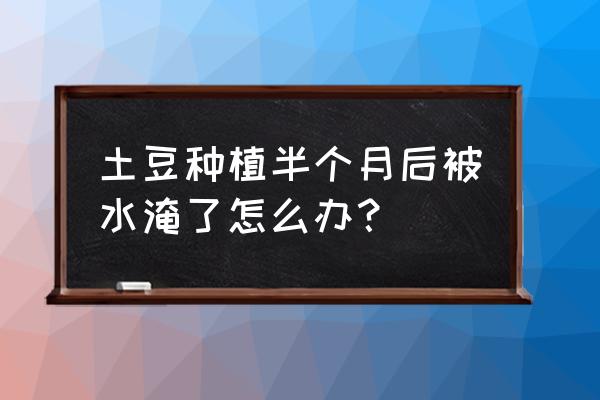 土豆泡水浇花需稀释吗 土豆种植半个月后被水淹了怎么办？