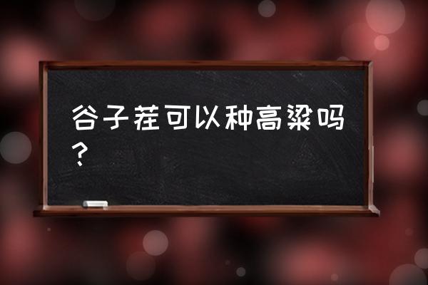 高粱米的营养价值及功效与禁忌 谷子茬可以种高粱吗？