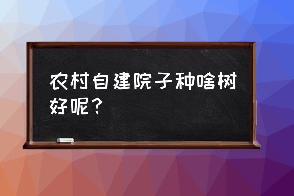 家里庭院种什么树最旺 农村自建院子种啥树好呢？