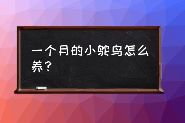 什么农药能消灭象草 一个月的小鸵鸟怎么养？